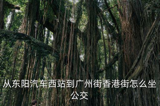 東陽到廣州的大巴，現在從浙江東陽到廣州的客車票票價是多少