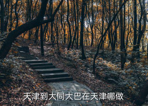 天津到大同大巴在天津哪做