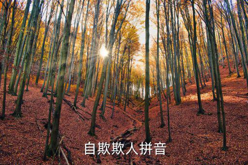 自欺欺人拼音