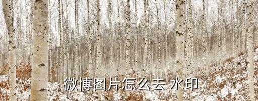  微博圖片怎么去 水印