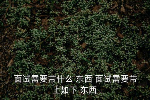  面試需要帶什么 東西 面試需要帶上如下 東西
