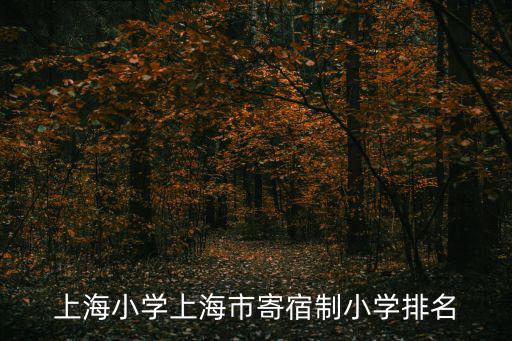 上海小學上海市寄宿制小學排名
