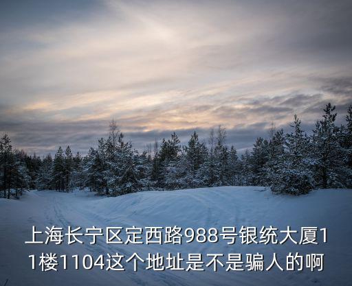 上海長寧區(qū)定西路988號(hào)銀統(tǒng)大廈11樓1104這個(gè)地址是不是騙人的啊