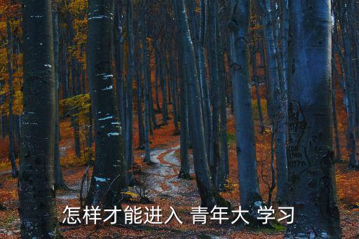 怎樣才能進入 青年大 學習