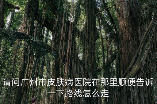 請問廣州市皮膚病醫院在那里順便告訴一下路線怎么走