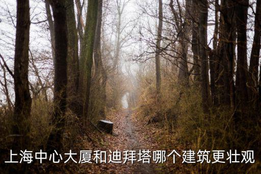 上海中心大廈和迪拜塔哪個建筑更壯觀