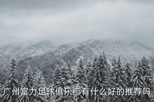 廣州富力足球俱樂部有什么好的推薦嗎