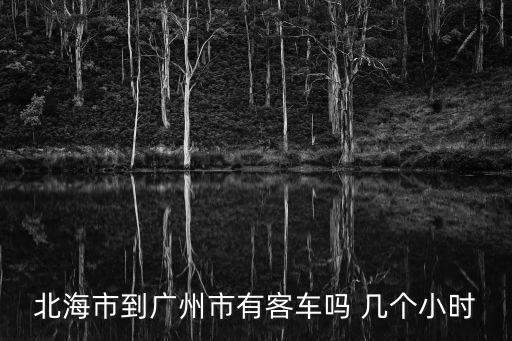 北海到廣州客運恢復了嗎，北海市到廣州市有客車嗎 幾個小時