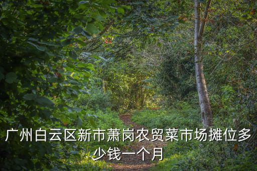 廣州市菜市場檔口租金多少錢，廣州白云區新市蕭崗農貿菜市場攤位多少錢一個月