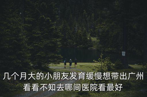 幾個月大的小朋友發育緩慢想帶出廣州看看不知去哪間醫院看最好
