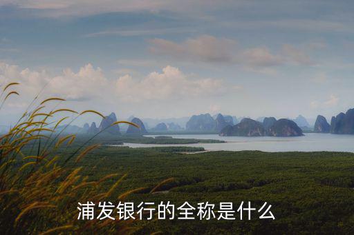 天津市和平區(qū)曲埠道浦發(fā)銀行名稱，浦發(fā)銀行 英文全稱