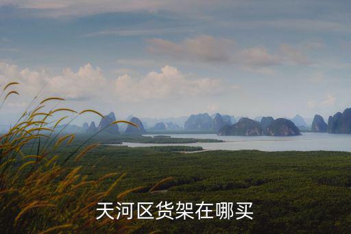 天河區貨架在哪買