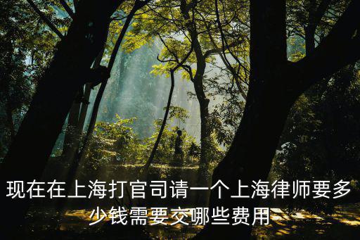 上海律師收費(fèi)，上海民事訴訟請(qǐng)律師的費(fèi)用是多少怎樣支付費(fèi)用