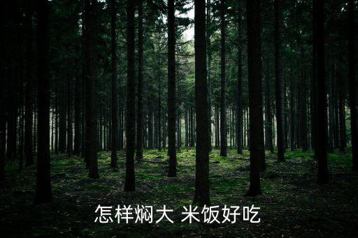 怎樣燜大 米飯好吃