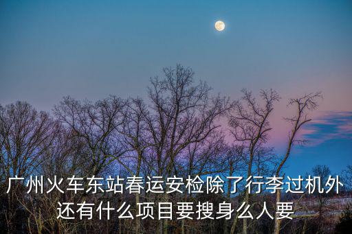 廣州火車東站春運(yùn)安檢除了行李過機(jī)外還有什么項(xiàng)目要搜身么人要