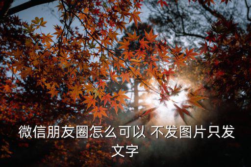 微信怎么不發圖片發朋友圈,微信朋友圈怎么發?四步驟看懂!