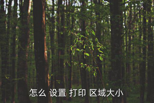 怎樣設(shè)置打印區(qū)域,點(diǎn)擊頁面布局和打印設(shè)置打印區(qū)域下