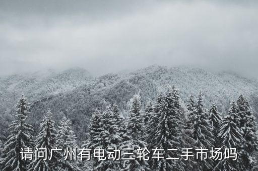 請(qǐng)問(wèn)廣州有電動(dòng)三輪車二手市場(chǎng)嗎