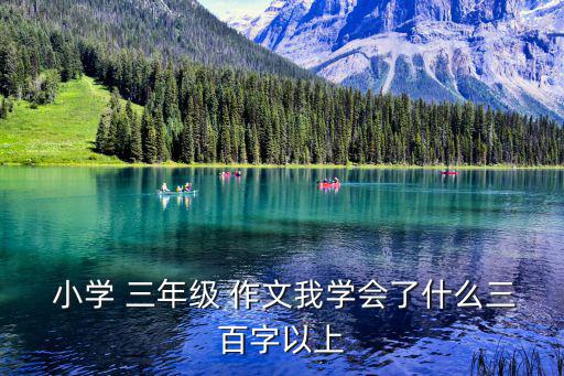  小學(xué) 三年級(jí) 作文我學(xué)會(huì)了什么三百字以上
