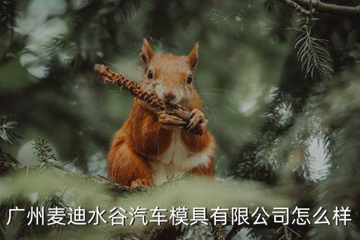 廣州麥迪水谷汽車模具有限公司怎么樣