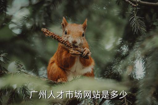 廣州人才市場網站是多少