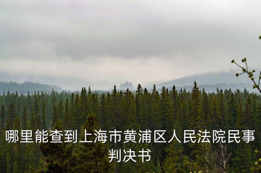 上海民事訴訟案件判決查詢網，我想查上海法院的判決書網絡上有嗎