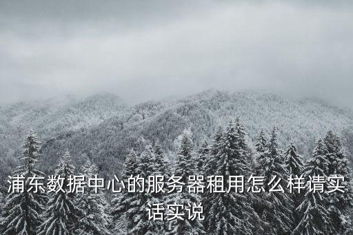 浦東數(shù)據(jù)中心的服務(wù)器租用怎么樣請(qǐng)實(shí)話實(shí)說