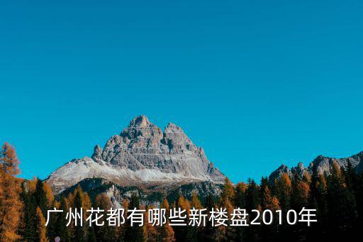 廣州花都有哪些新樓盤2010年