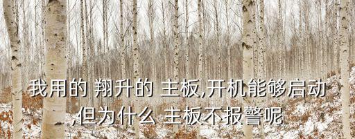 我用的 翔升的 主板,開機能夠啟動,但為什么 主板不報警呢