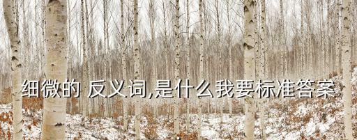 細小的反義詞,反撥亂反正平定天下關鍵詞細微微妙
