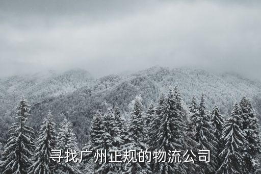 尋找廣州正規(guī)的物流公司