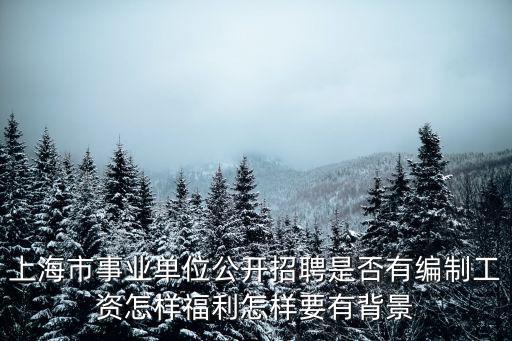 上海市事業單位公開招聘是否有編制工資怎樣福利怎樣要有背景