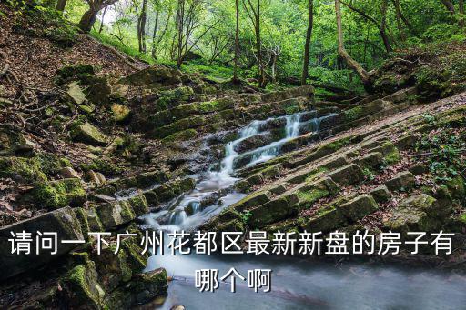 請問一下廣州花都區最新新盤的房子有哪個啊