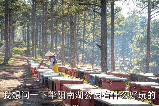 我想問(wèn)一下華陽(yáng)南湖公園有什么好玩的