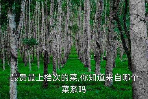 最貴最上檔次的菜,你知道來自哪個菜系嗎