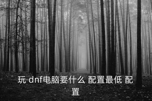 玩 dnf電腦要什么 配置最低 配置