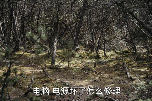  電腦 電源壞了怎么修理