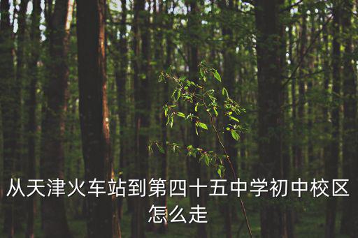 從天津火車站到第四十五中學初中校區怎么走