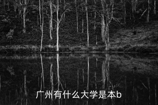 廣州有什么大學是本b