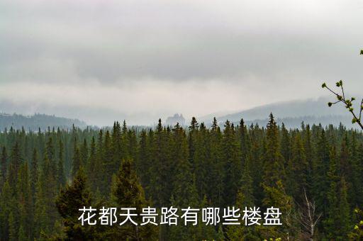 花都天貴路有哪些樓盤