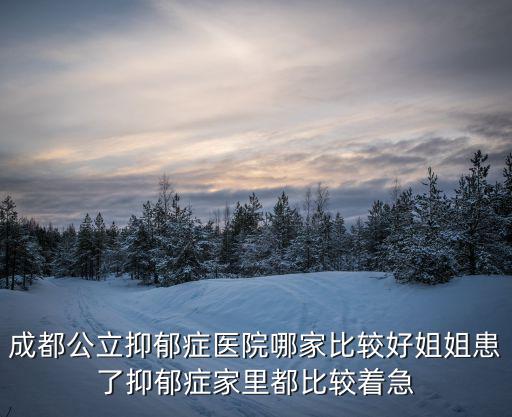 成都公立抑郁癥醫院哪家比較好姐姐患了抑郁癥家里都比較著急