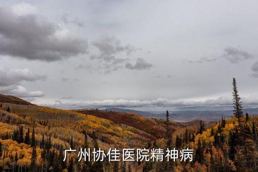 廣州協(xié)佳醫(yī)院精神病