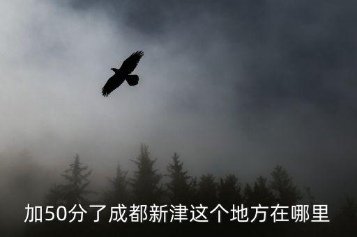 加50分了成都新津這個(gè)地方在哪里