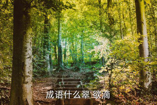 蒼翠欲滴,走進蒼翠欲滴國家公園猶如走進了天然氧吧