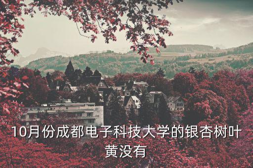 10月份成都電子科技大學的銀杏樹葉黃沒有