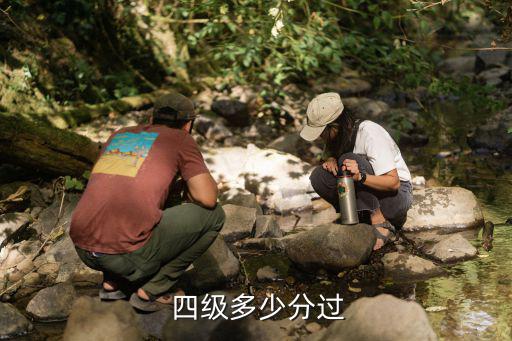 四級多少分能過,英語四級考試:滿分710，合格分425
