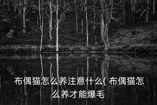 布偶貓怎么養,布偶貓怎么養到爆毛?