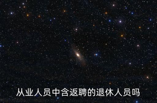 從業(yè)人員中含返聘的退休人員嗎