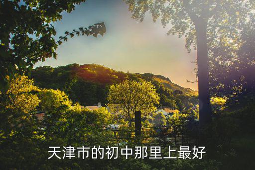 天津市的初中那里上最好