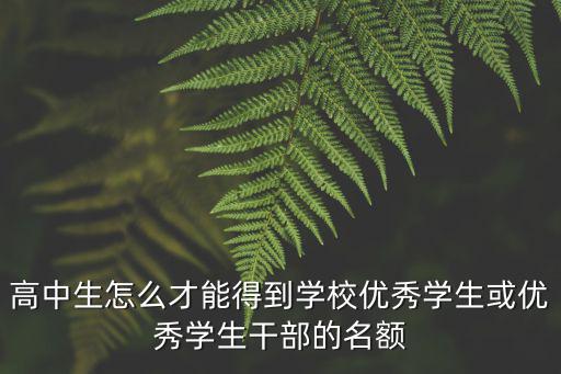 高中生怎么才能得到學校優秀學生或優秀學生干部的名額